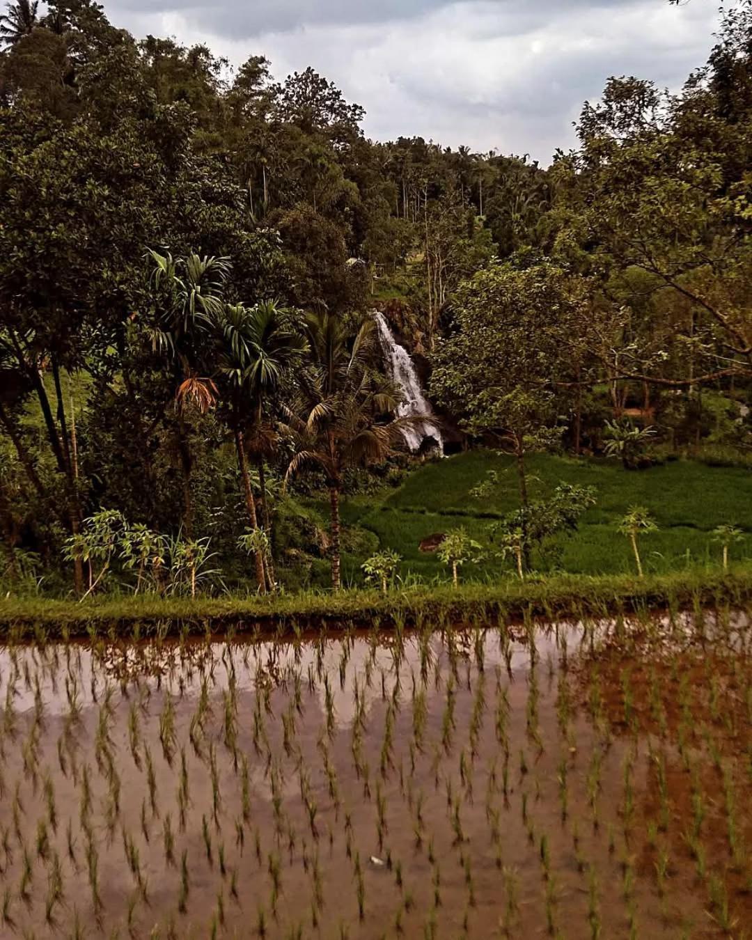 Satu Lingkung Hotel Tetebatu Exterior photo